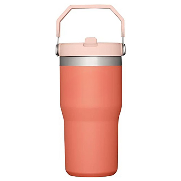 20ML Stainless Steel Tumbler With Straw