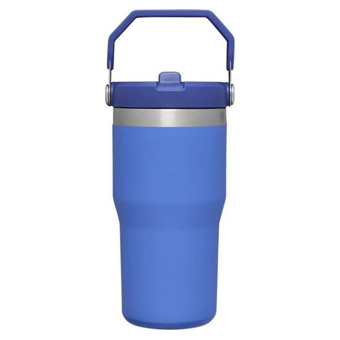 20ML Tumbler With Straw