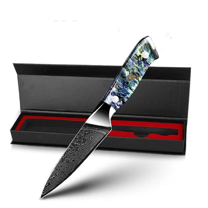 Chef Kitchen Knife With Abalone Shell Handle