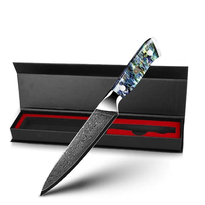 Chef Kitchen Knife With Abalone Shell Handle