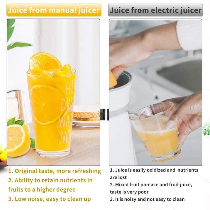 Manual Hand Press Fruit Juicer