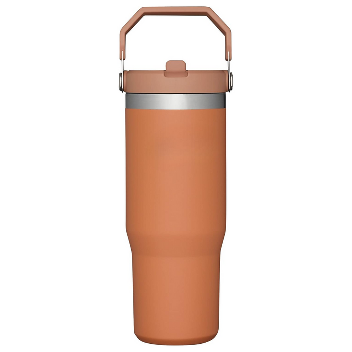 20ML Tumbler With Straw