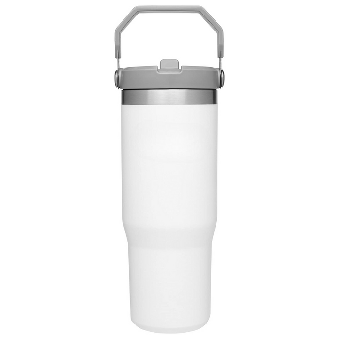 20ML Tumbler With Straw