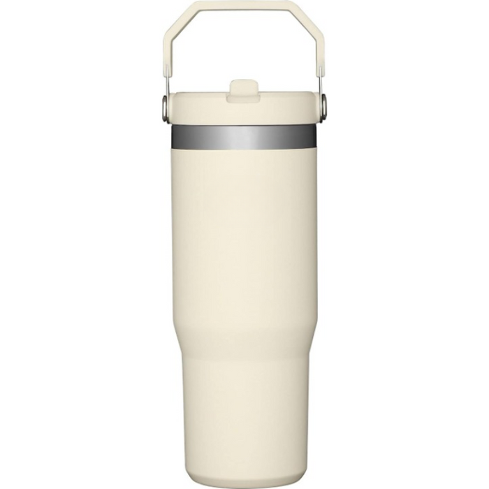 30ML Stainless Steel Tumbler With Straw