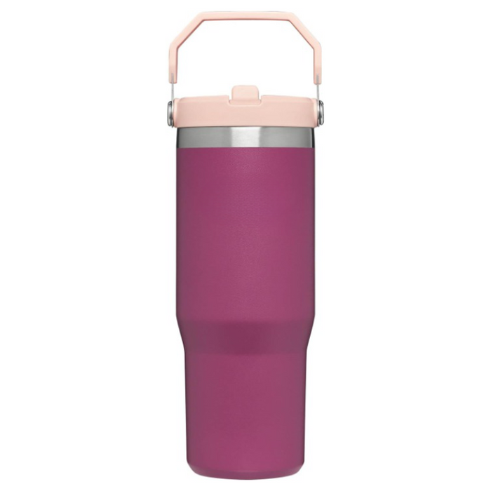 20ML Tumbler With Straw