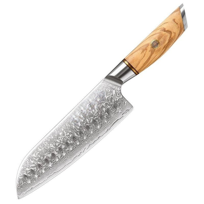 Professional Sharp Blade Vegetable Knife Cooking Tool