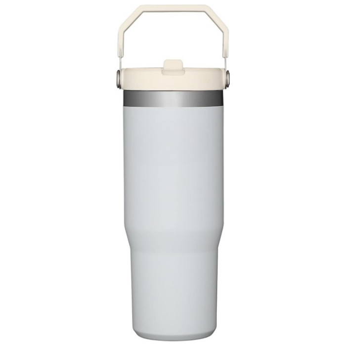 20ML Stainless Steel Tumbler With Straw