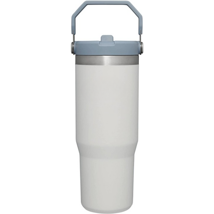 30ML Stainless Steel Tumbler With Straw