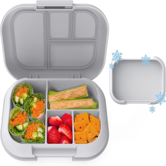 4 Compartments Kids Lunch Box