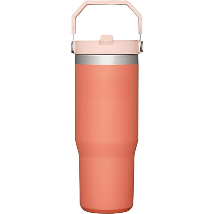 30ML Stainless Steel Tumbler With Straw