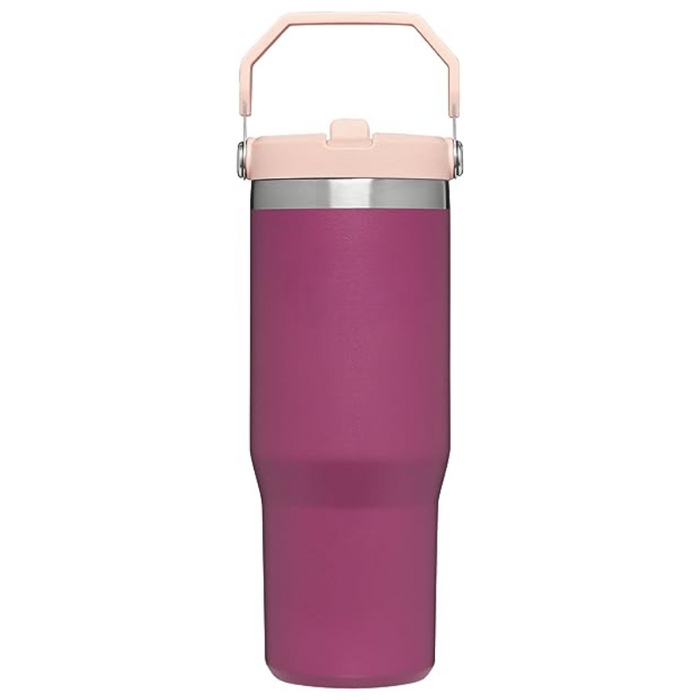 20ML Tumbler With Straw