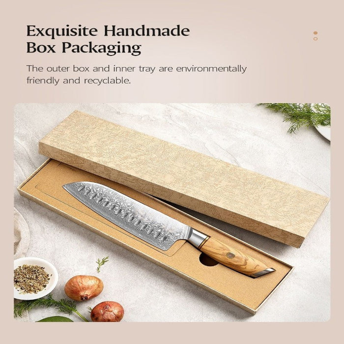 Professional Sharp Blade Vegetable Knife Cooking Tool