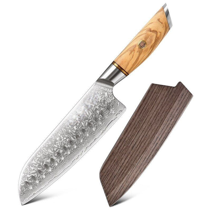 Professional Sharp Blade Vegetable Knife Cooking Tool