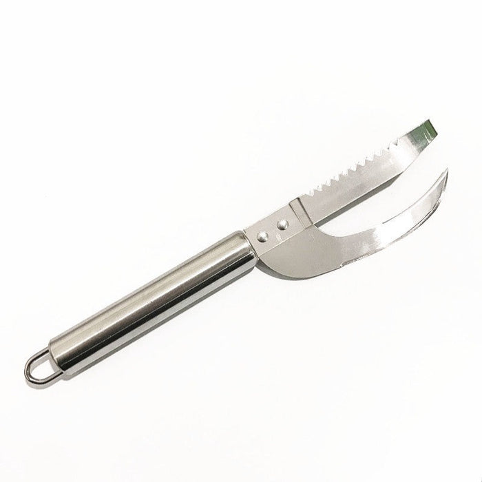 Stainless Steel Scale Knife