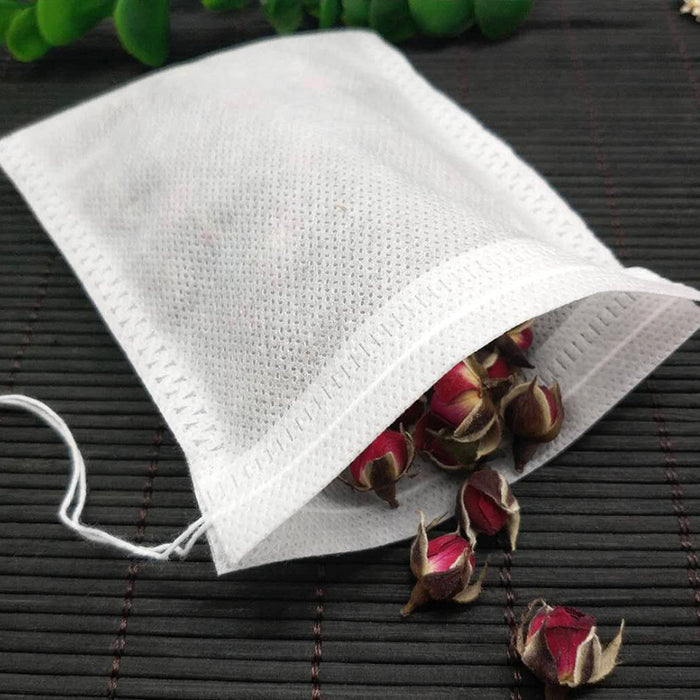 Heal Seal Spice Filters Disposable Teabags