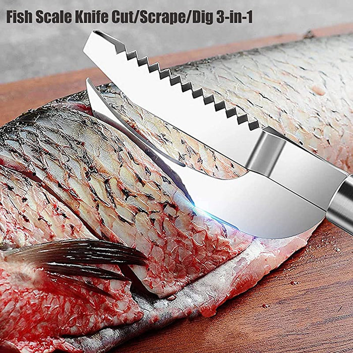 Stainless Steel Scale Knife