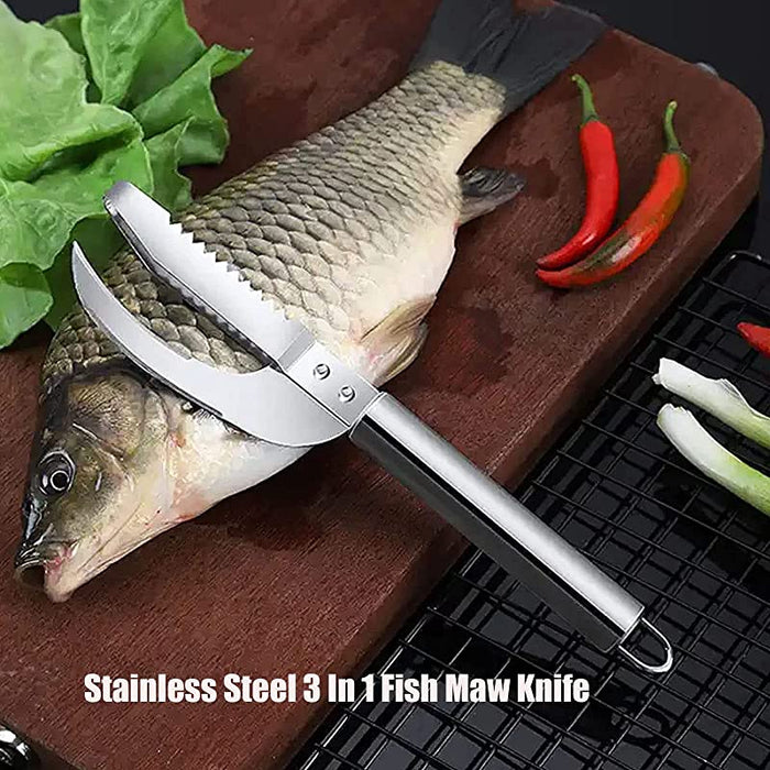 Stainless Steel Scale Knife