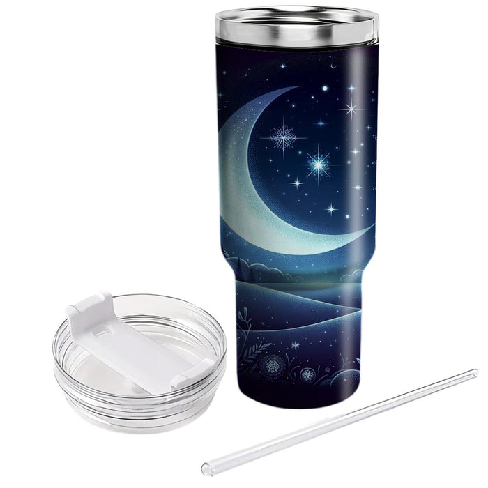 Winter Night Dreamscape  Insulated Tumblers