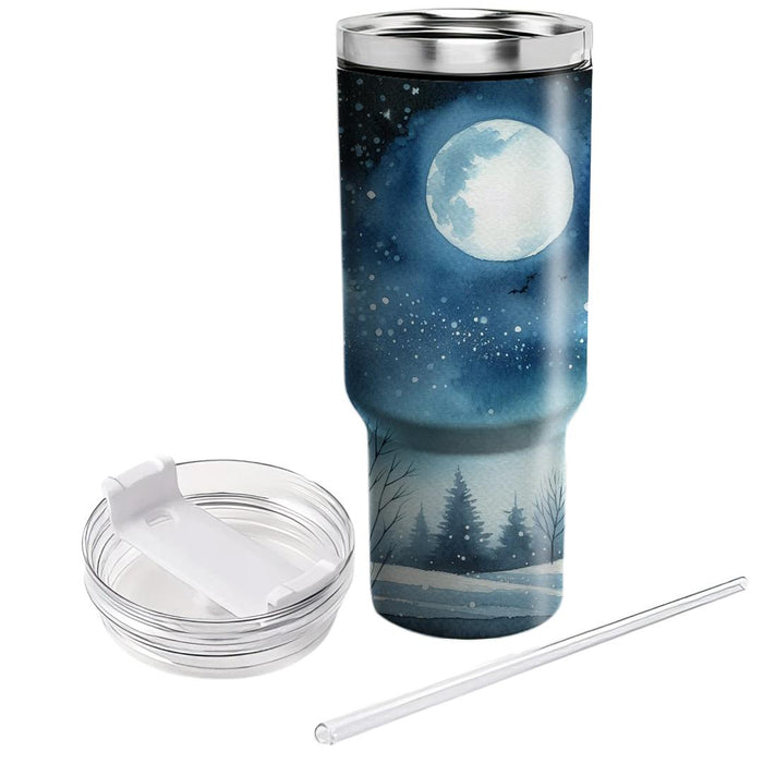 Winter Solstice Reflections  Insulated Tumblers