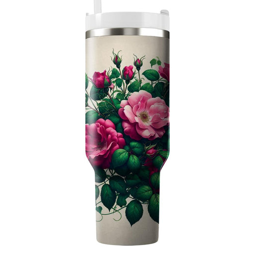 Wild Rose And Ivy  Tumbler Cups