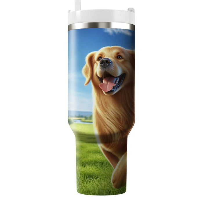 Gleaming Golden Retriever  Decorative Tumblers