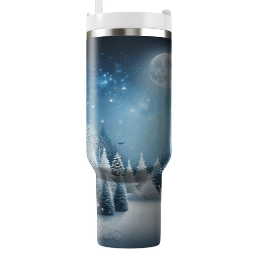 Winter Crystal Night  Tumblers For Gifts