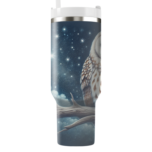 Whimsical Owl Dreams  Tumblers With Lids