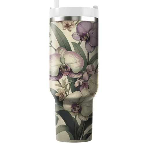 Vintage Orchid Allure  Tumblers For Gifts