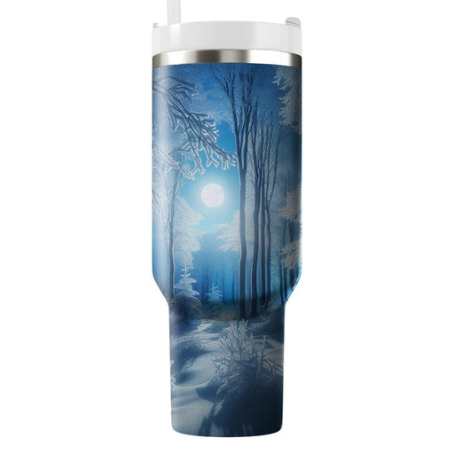 Winter Frost Fairytale  Tumblers For Gifts