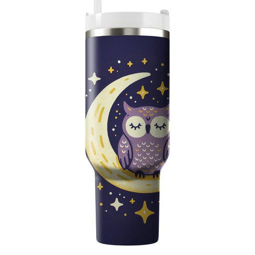 Whimsical Owl Night Sky  Personalized Tumblers