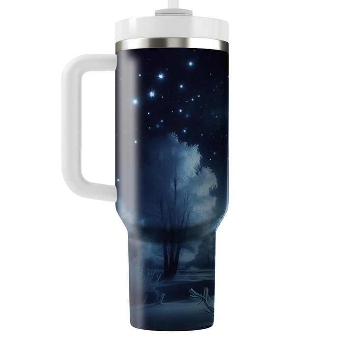 Winter Midnight Frost  Tumblers For Gifts