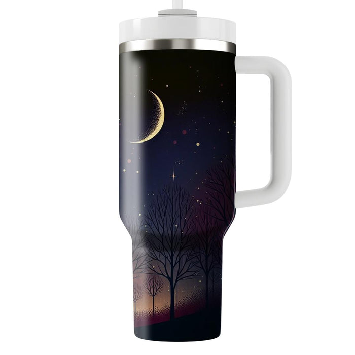 Autumn Twilight Nights  Insulated Tumblers