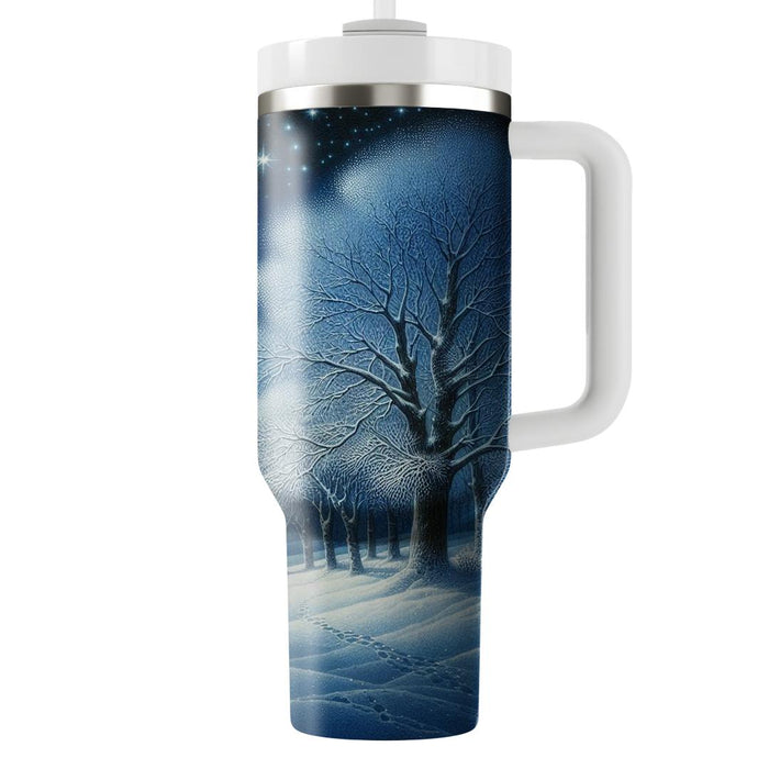 Winter Solstice Night  Travel Tumblers