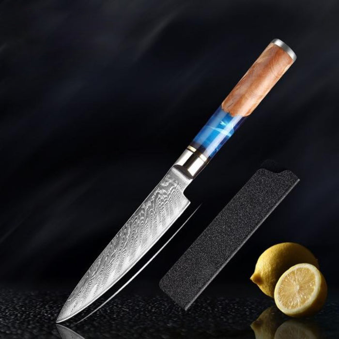 Damascus Steel Vg10 Chef Knife Sets