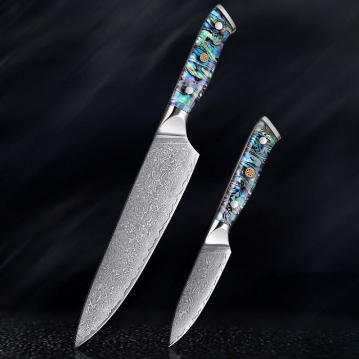 67 Layer Damascus Steel Kitchen Knives Set