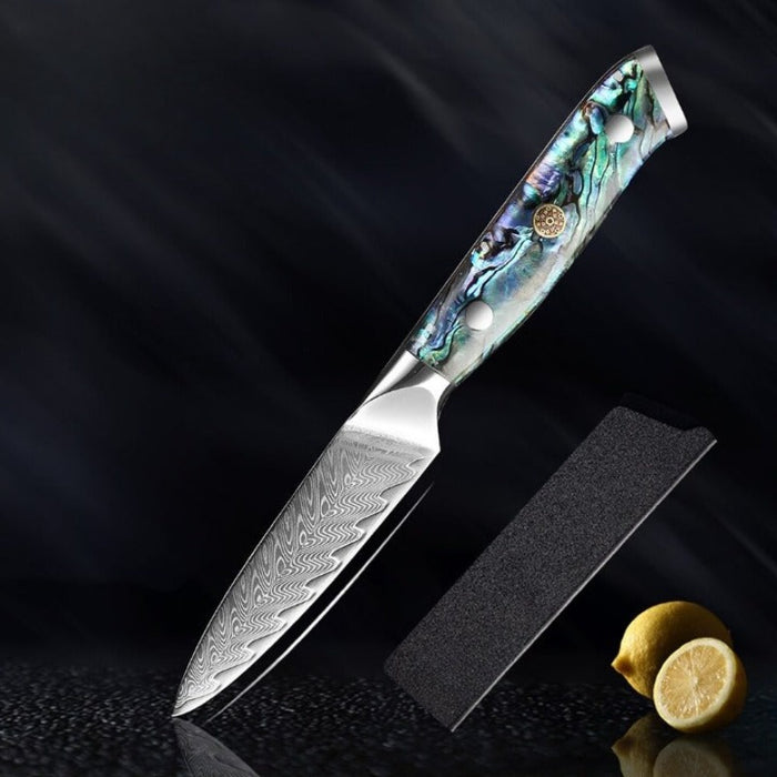 Damascus Steel Kitchen knife Sets With Exquisite Shell Handle