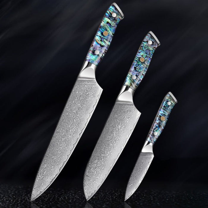 67 Layer Damascus Steel Kitchen Knives Set