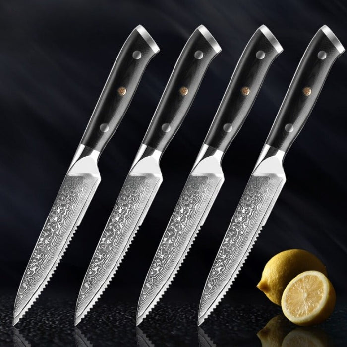 Damascus Steel Boning Steak Knife Set