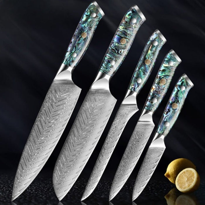 Damascus Steel Kitchen knife Sets With Exquisite Shell Handle