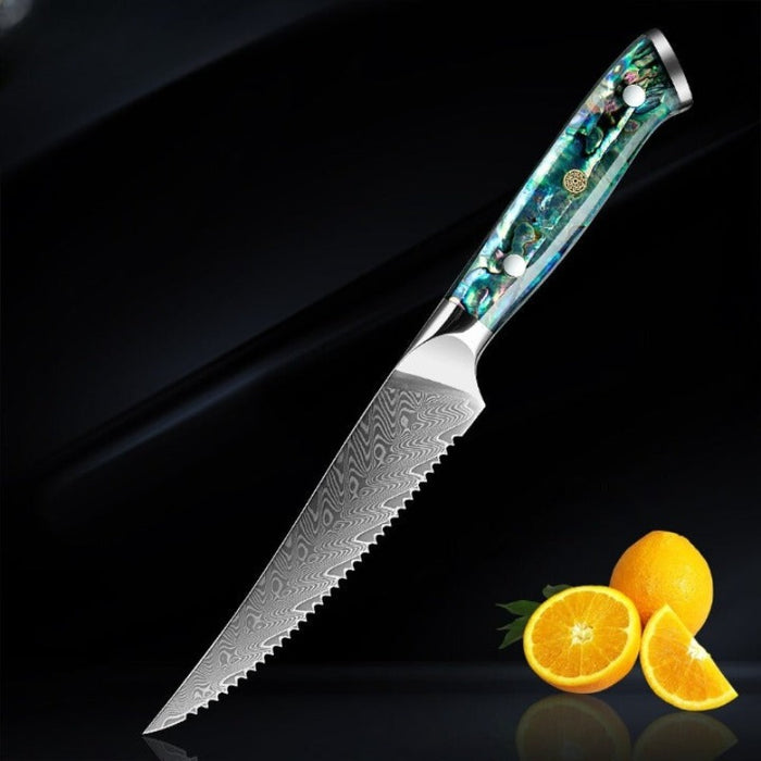 Damascus Steel Kitchen knife Sets With Exquisite Shell Handle