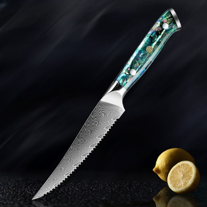 Boning Steak Knife With Shell Handle