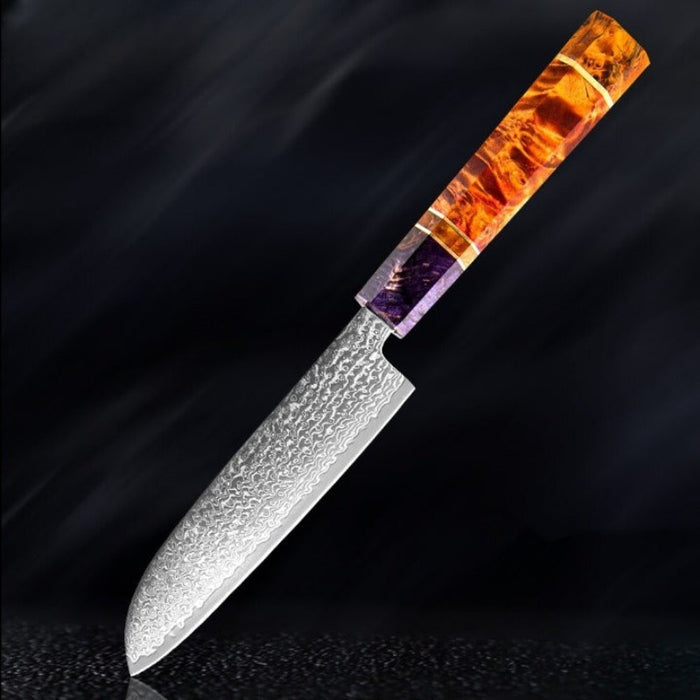 Knife Sets With 67 Layers Damascus Steel & Solidified Wood handle