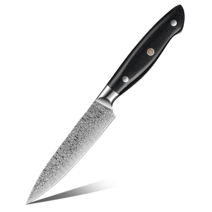 Laser Damascus Japanese Stainless Steel Kitchen Chef Knife