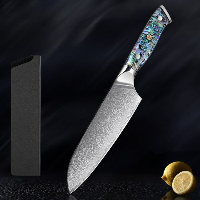 67 Layer Damascus Steel Kitchen Knives Set