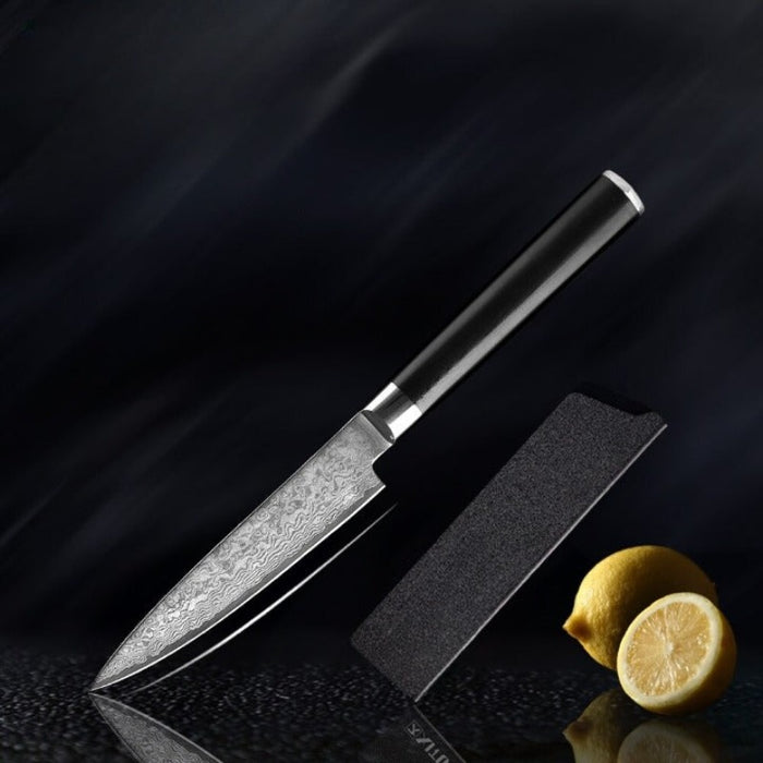 Ultra Sharp Damascus Steel Kitchen Knives Set