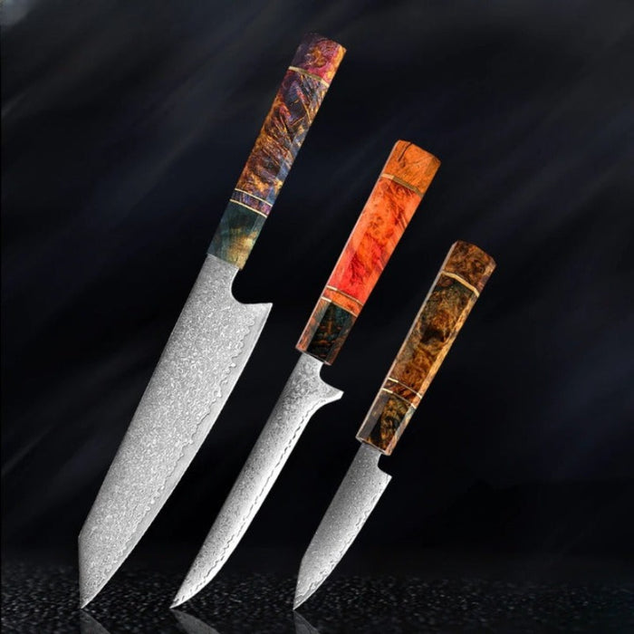 Knife Sets With 67 Layers Damascus Steel & Solidified Wood handle