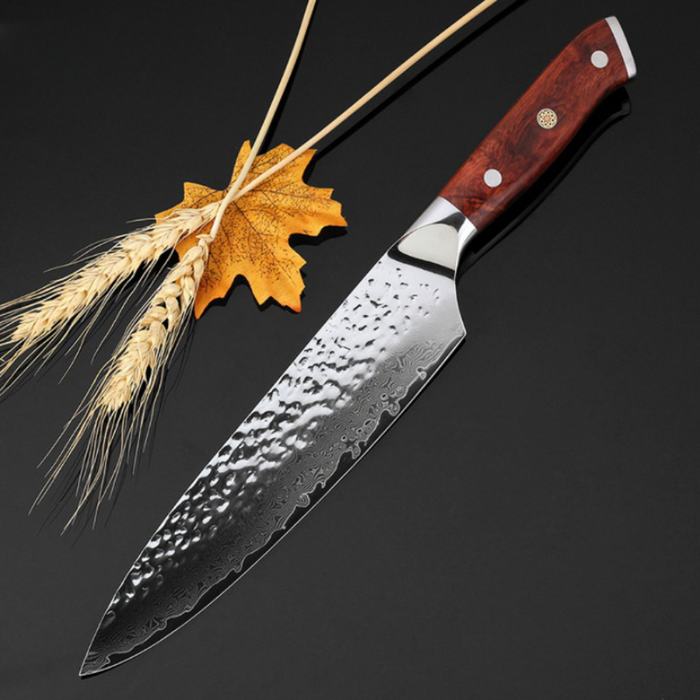 Kitchen Chef Knife of Japanese VG-10 Damascus Steel