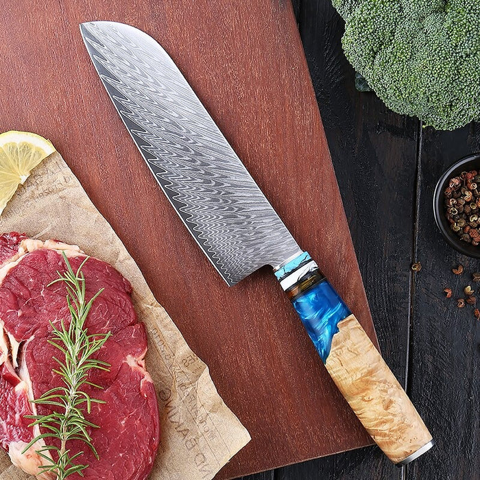 Blue Resin Handle Santoku And Chef Knife