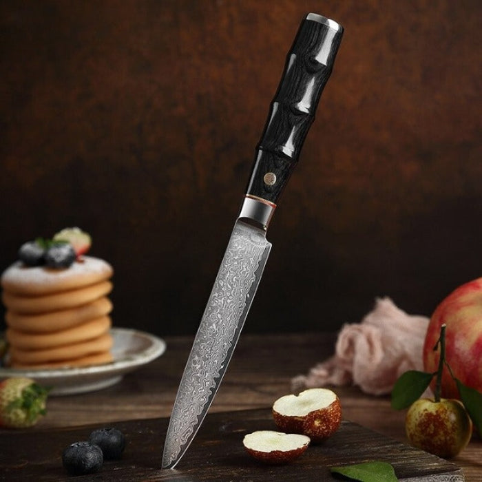 67 Layer Damascus Steel Kitchen Boning Steak Knife