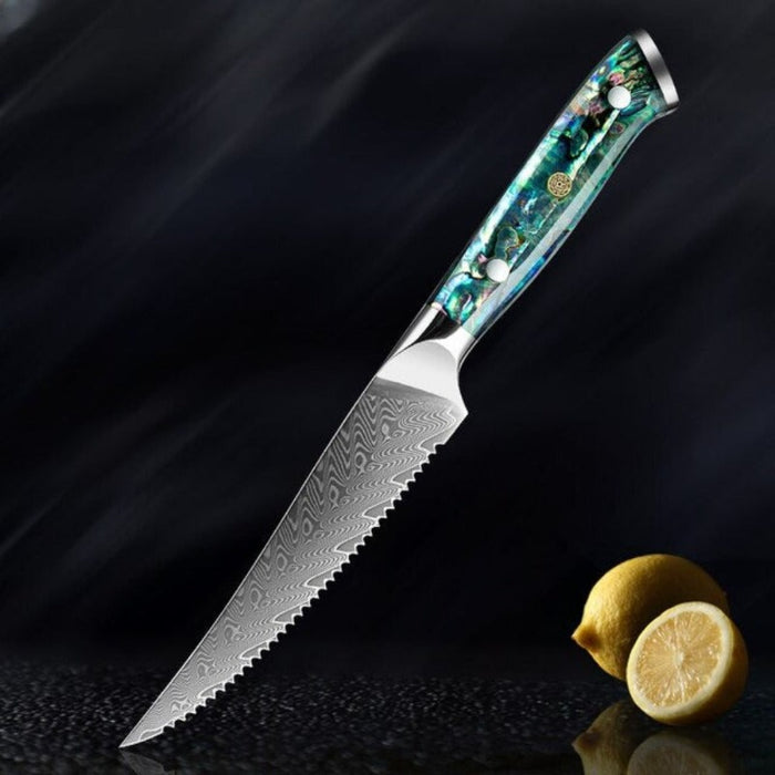 The Japanese 67 Layer Boning Steak Knife